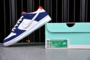 Nike Dunk SB Low Ishod Wair "BMW" 839685-416 - Image 5