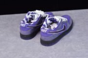 NIKE SB DUNK LOW CONCEPTS PURPLE LOBSTER BV1310-555 - Image 7