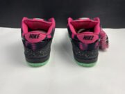 NIKE DUNK SB LOW PREMIER "NORTHERN LIGHTS"724183-063 - Image 10