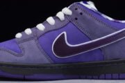 NIKE SB DUNK LOW CONCEPTS PURPLE LOBSTER BV1310-555 - Image 6
