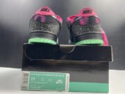 NIKE DUNK SB LOW PREMIER "NORTHERN LIGHTS"724183-063 - Image 14