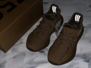 Adidas Yeezy Boost 350 V2 “Earth” FX9033 - Image 12