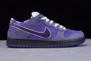 NIKE SB DUNK LOW CONCEPTS PURPLE LOBSTER BV1310-555 - Image 14