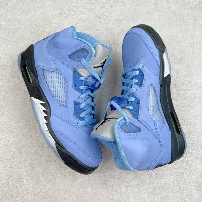 Jordan 5 Retro  DV1310-401 - Image 3