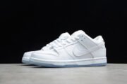 Nike Dunk SB Low White Ice 304292-100 - Image 9