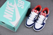 Nike Dunk SB Low Ishod Wair "BMW" 839685-416 - Image 12
