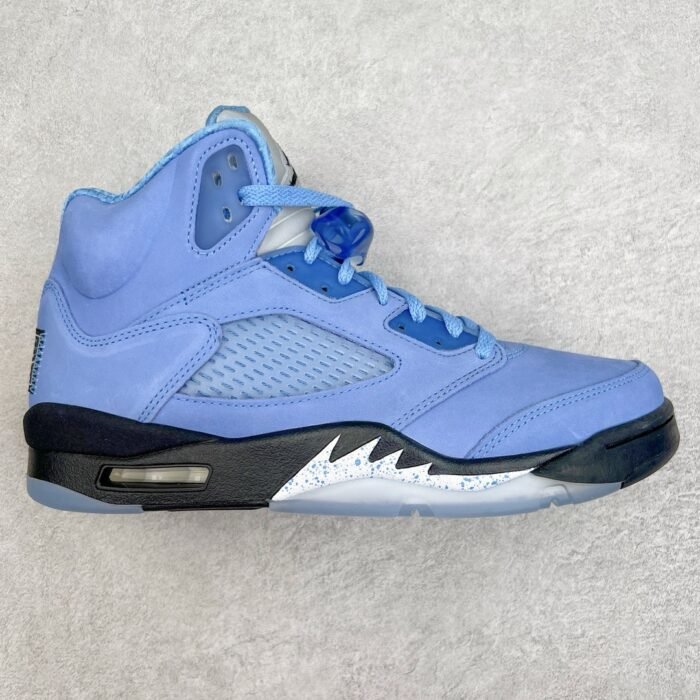 Jordan 5 Retro  DV1310-401 - Image 1