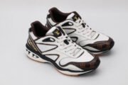 Loui Vuitto LV SNEAKER LOW - Image 10