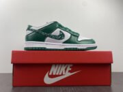 NIKE DUNK LOW ESSENTIAL PAISLEY PACK GREEN (W) DH4401-102 - Image 4