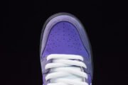 NIKE SB DUNK LOW CONCEPTS PURPLE LOBSTER BV1310-555 - Image 17