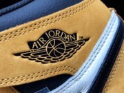 Air Jordan 1 Retro High OG “Rookie of the Year” 555088-700 - Image 14