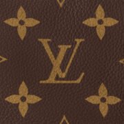 LV SPEEDY P9 BANDOULIÈRE40 - Image 6