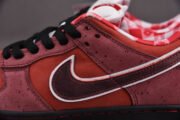 Nike Dunk SB Low Red Lobster 313170-661 - Image 14