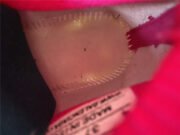 BLCG Speed Clear Sole Sneaker 607543 W05GG 5911 - Image 4