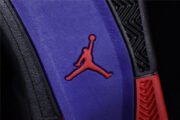 Air Jordan 4 Retro NRG “Raptors" AQ3816-065 - Image 7