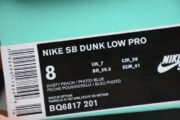 Nike SB Dunk Low Corduroy Dusty Peach BQ6817-201 - Image 3