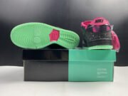NIKE DUNK SB LOW PREMIER "NORTHERN LIGHTS"724183-063 - Image 4