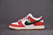 FRAME SKATE X NIKE SB DUNK LOW CT2550-600