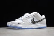 DR x Nike Dunk SB Low BQ6817-002 - Image 5